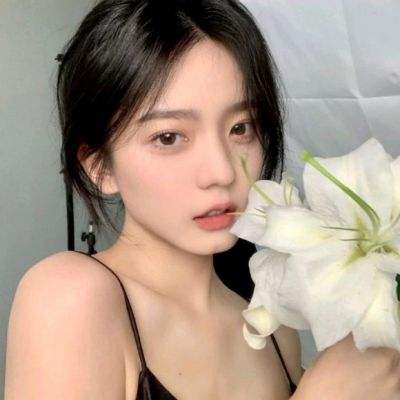 古墓迷城4399版下载